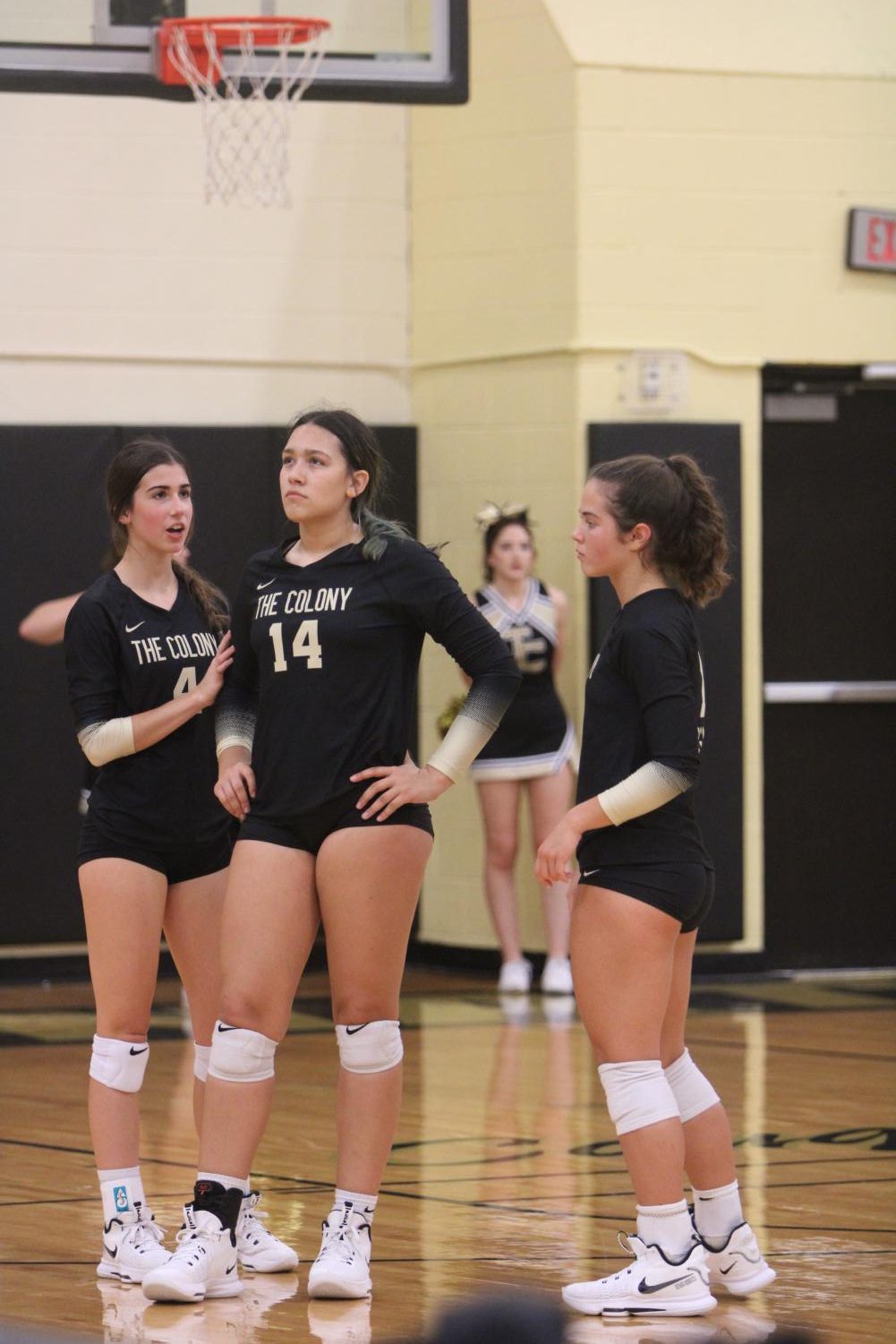 Photo Gallery: Varsity Volleyball vs. Princeton 9/22