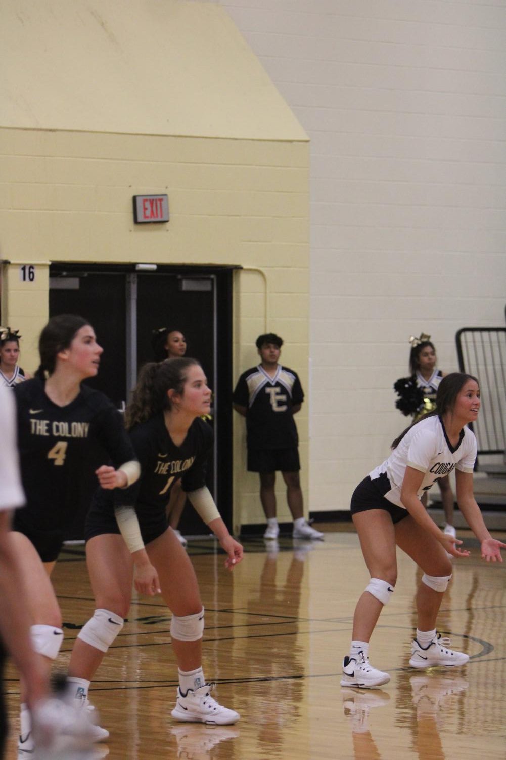 Photo Gallery: Varsity Volleyball vs. Princeton 9/22