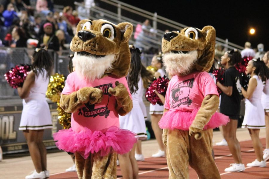 The mascots wear pink at the game against Heritage. 