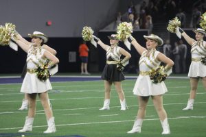 Topcats perform at the Star at the game against Wakeland.