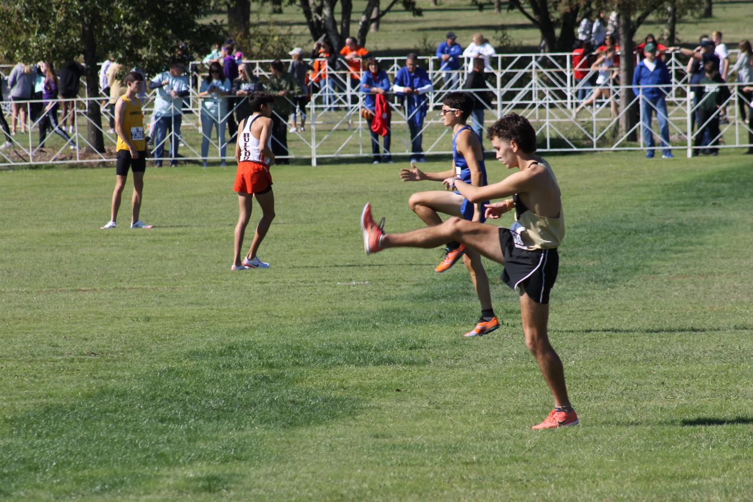 Photo Gallery: Cross Country Takes Eighth at State Meet