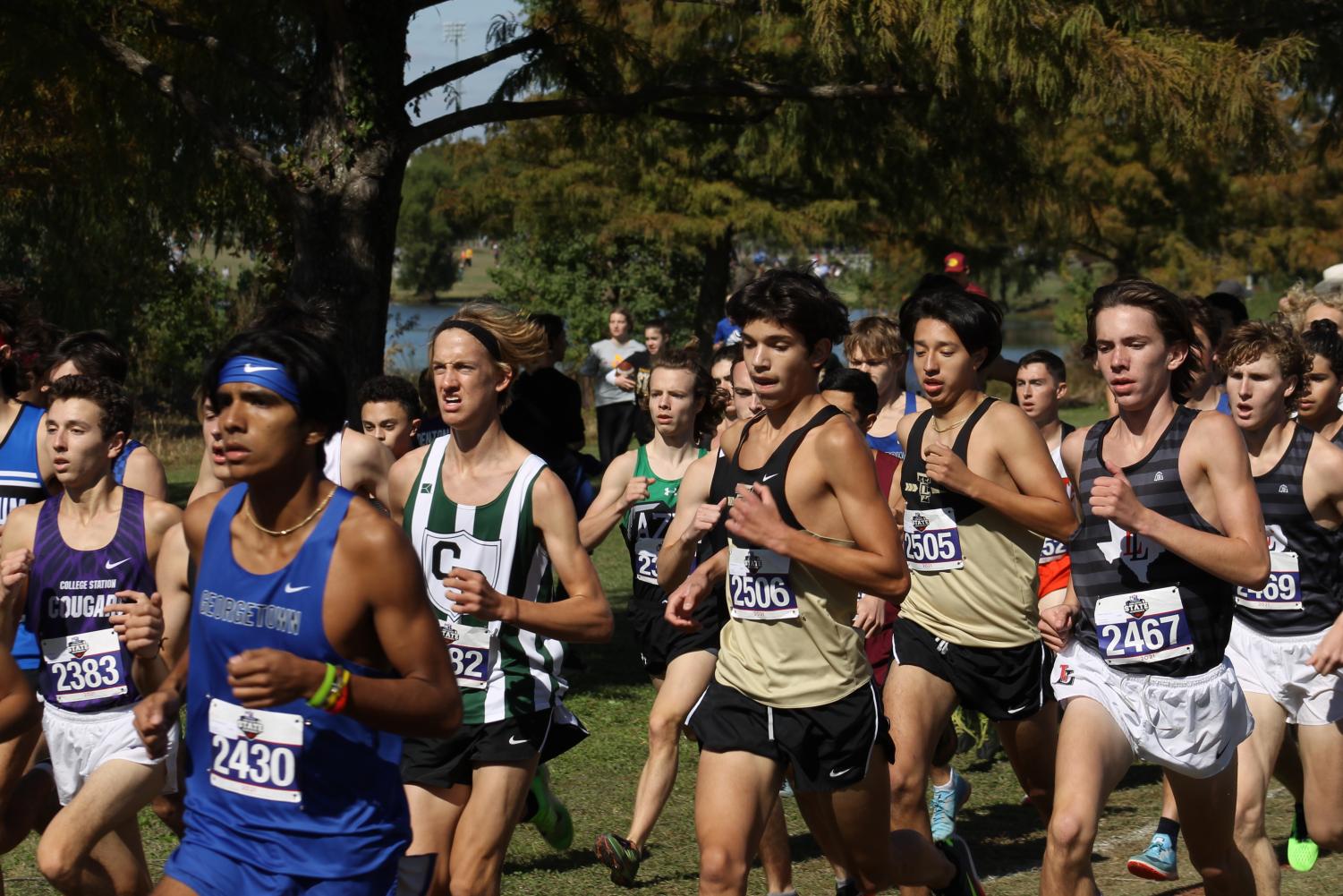 Photo Gallery: Cross Country Takes Eighth at State Meet