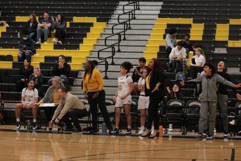 Lady Cougar basketball vs. R.L. Turner
