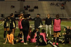 Lady Cougars, Wildcats ready for first round playoff battle