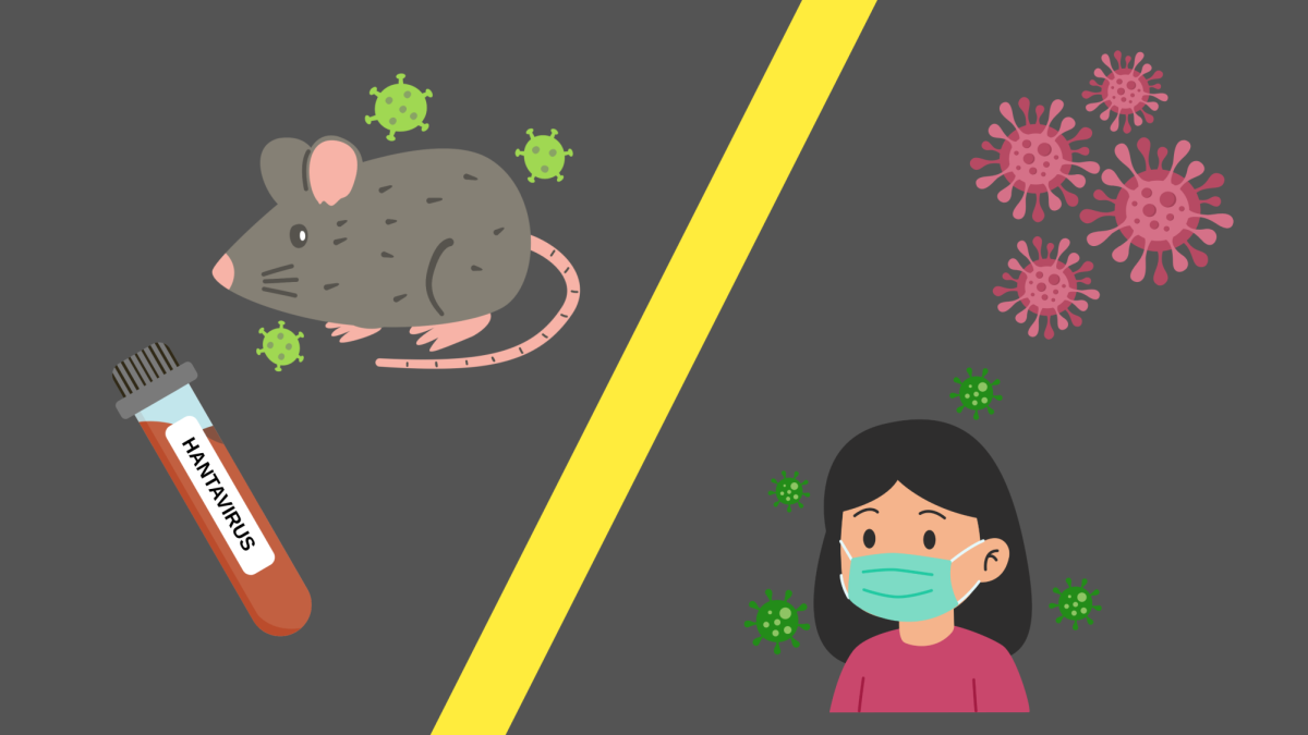 Hantavirus: what to know